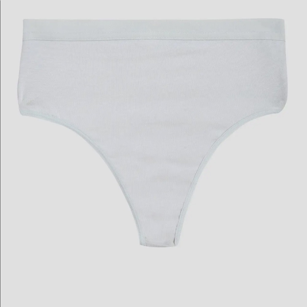 NWT UltimateS High Rose Thong, Sky, (US Large, 22-24)